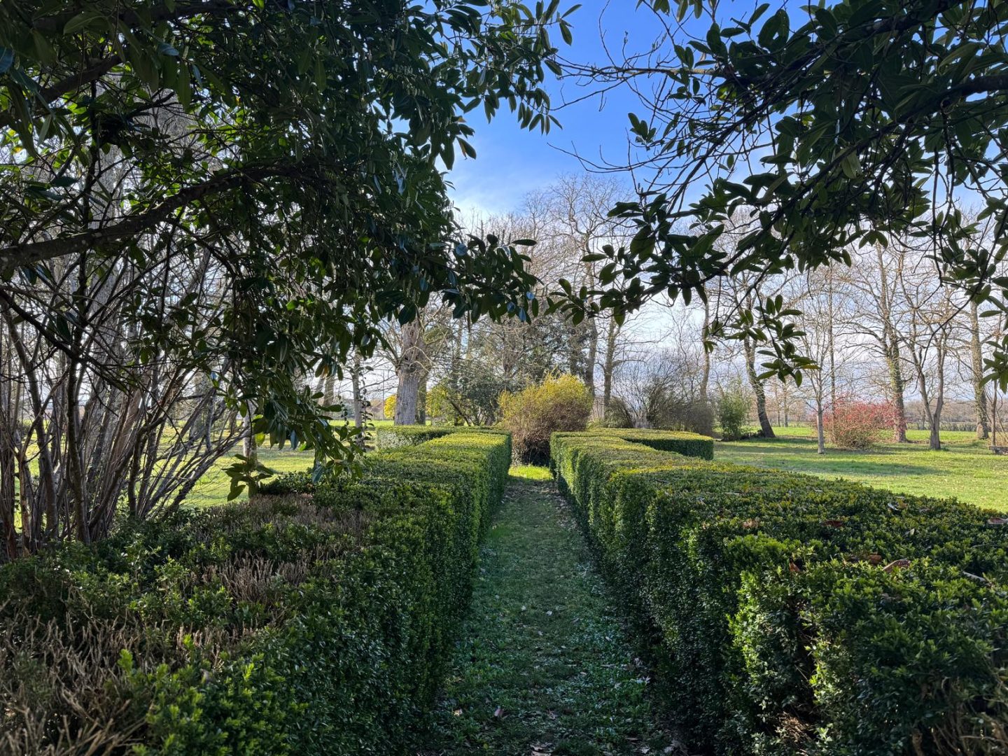 vue sur allées de buis