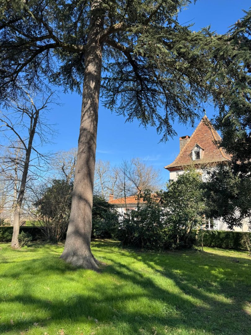 vue parc coté nord un écrin de nature au calme