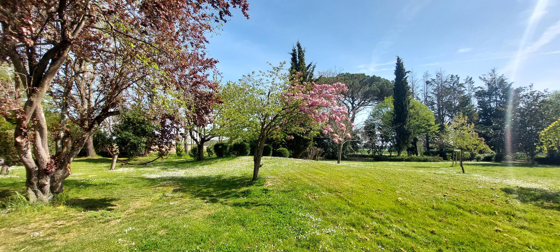 vue du parc printemps