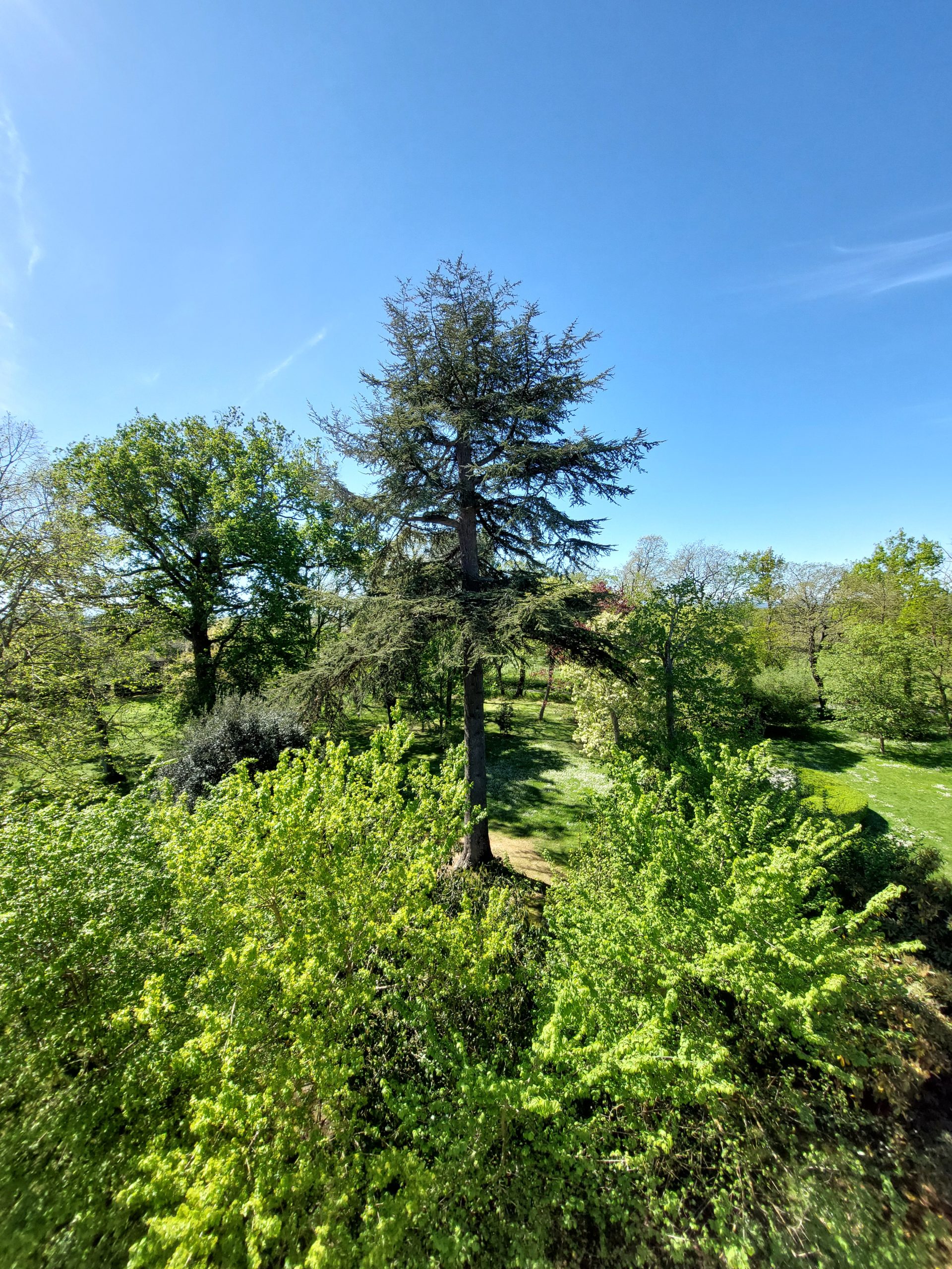 vue du parc de la tour